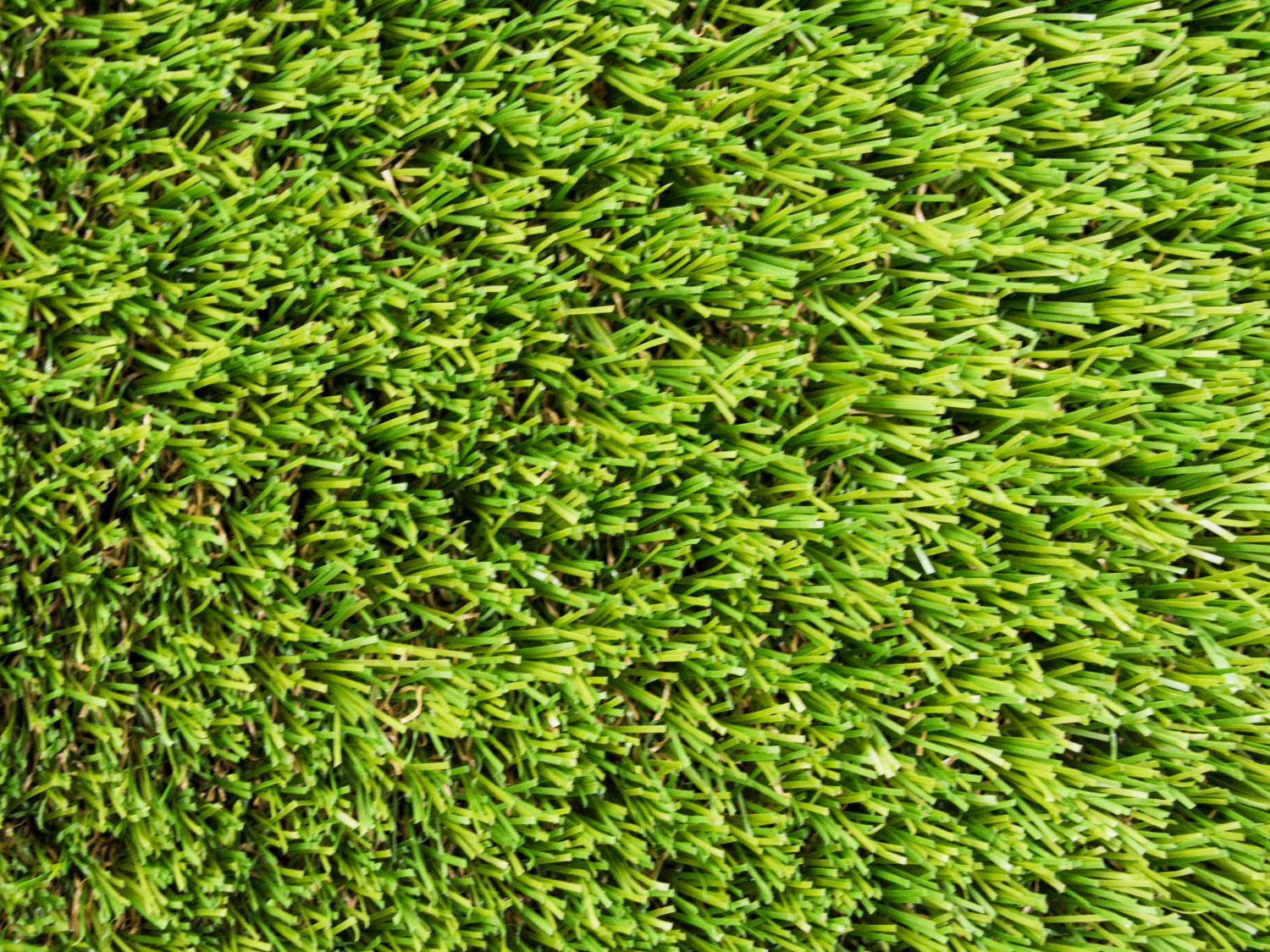 Gazon Artificiel CARIBBEAN Artificial Grass Hauteur 40mm Rouleau
